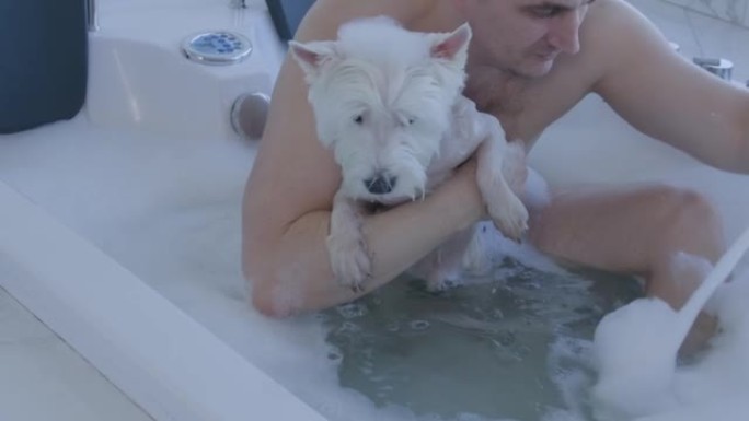 男人在热水浴缸里给白狗洗澡