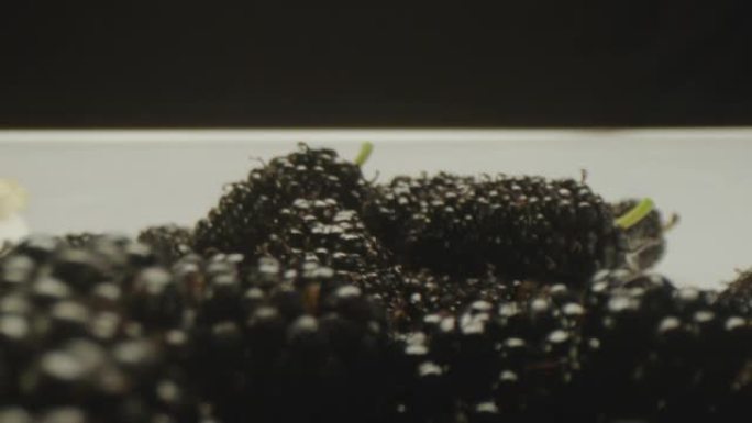 一组新鲜，有机，黑色和白色的桑葚水果在桌子上。近距离观察不同种类的桑葚。在ARRI ALEXA电影摄