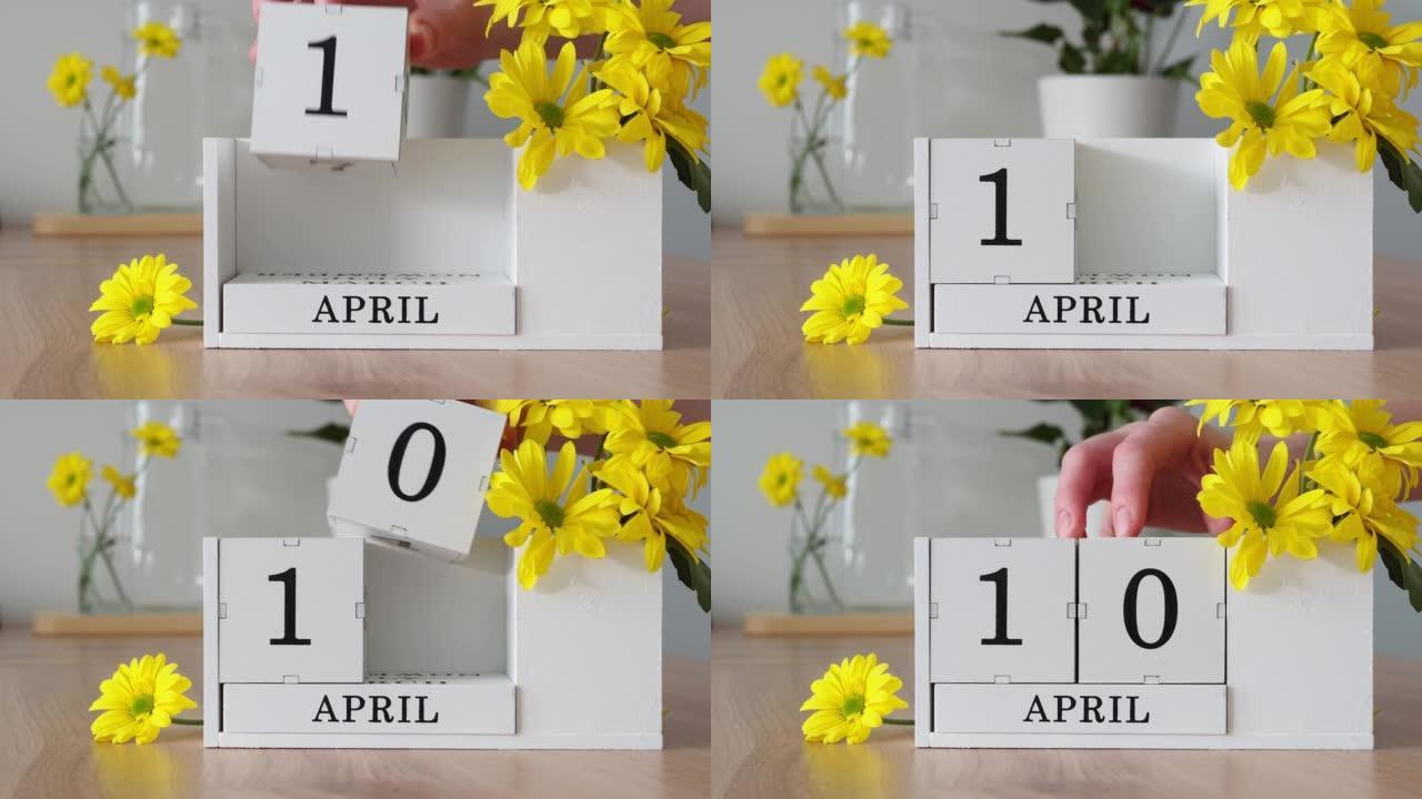 春季月份4月10日。女人的手翻过一个立方历法。黄色花朵旁边的桌子上的白色万年历。在一个月内更改日期。