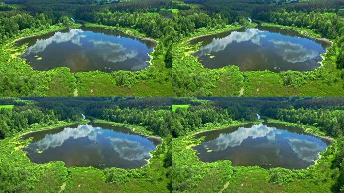 夏天森林里的湖。波兰的鸟瞰图
