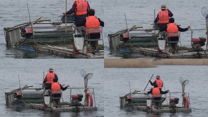 河中工人开着水草收草机在河面经过