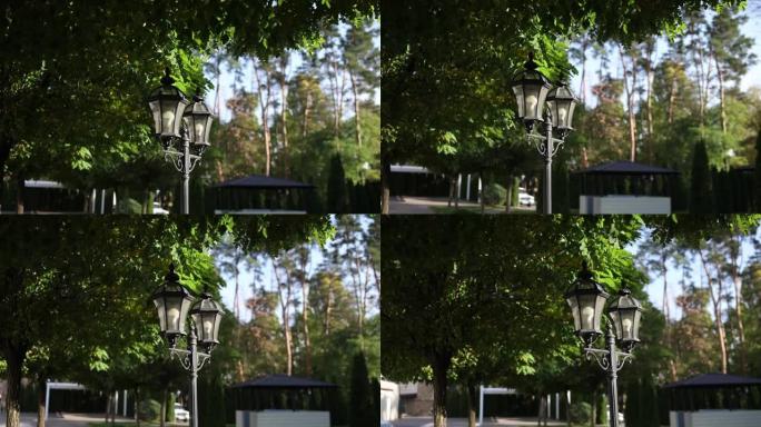 公园街道上的路灯照明