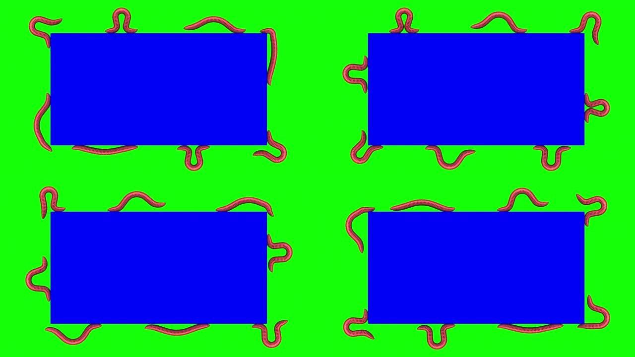 蓝色矩形上的蠕虫，循环3D动画
