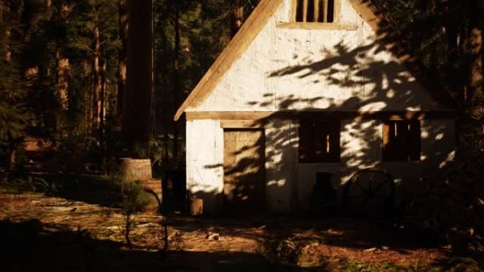 秋天森林中的旧木屋