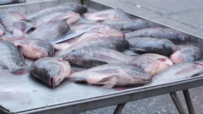 市场上的铁托盘中的新鲜活鱼可以煮熟。
