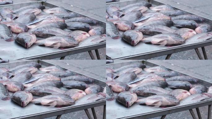 市场上的铁托盘中的新鲜活鱼可以煮熟。