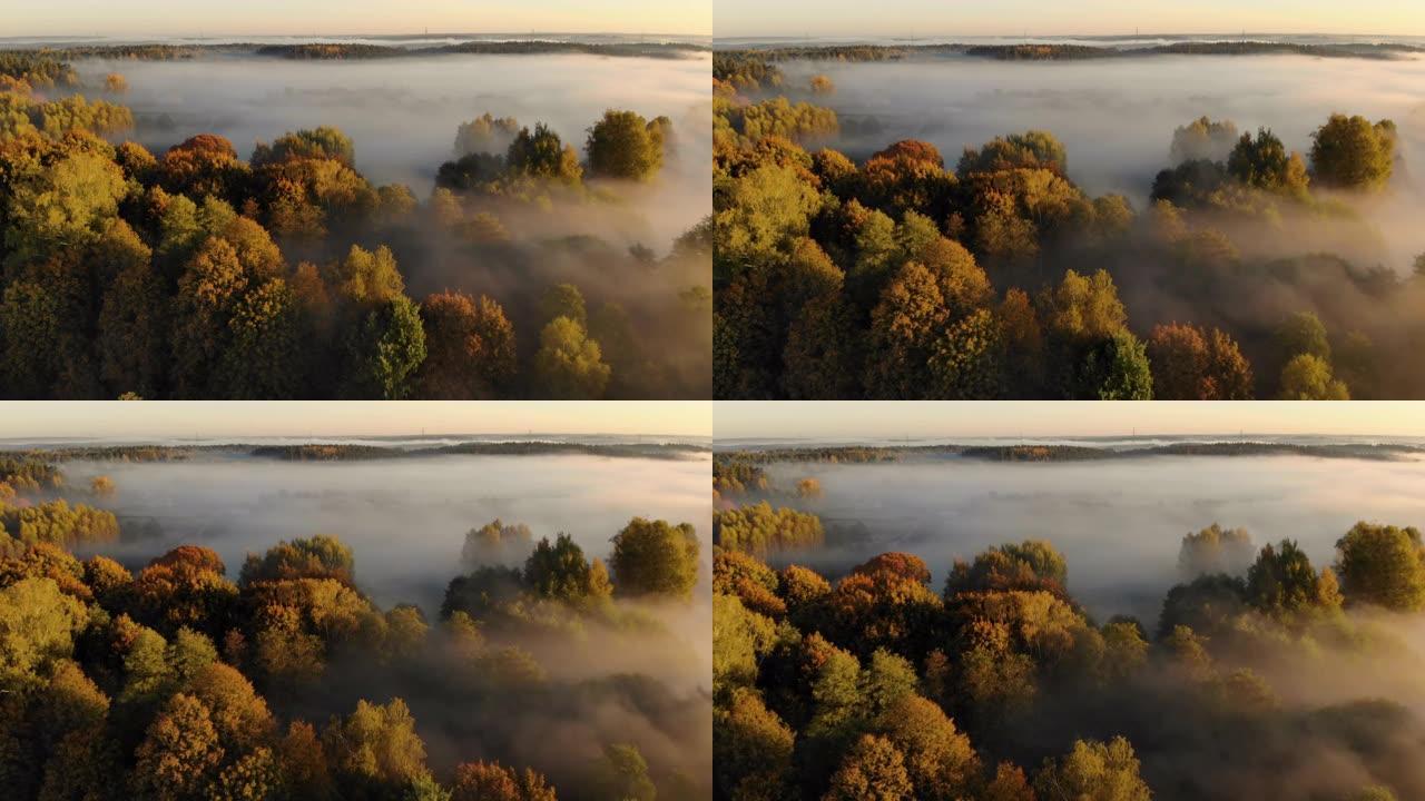 鸟瞰图。薄雾笼罩的乡村的日出。神奇的雾到地平线。史诗般的惊人的自然景观。日出时雾蒙蒙的五颜六色的树木