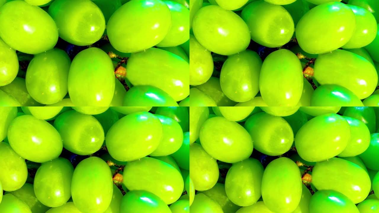 新鲜有机绿色葡萄的特写视频。葡萄是一种很棒的素食小吃