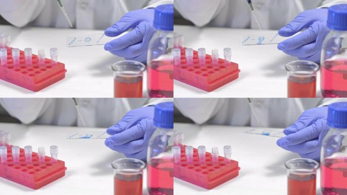医学科学家在显微镜载玻片上测试疫苗以治愈Covid SARS-CoV-2 2019-nCoV病毒