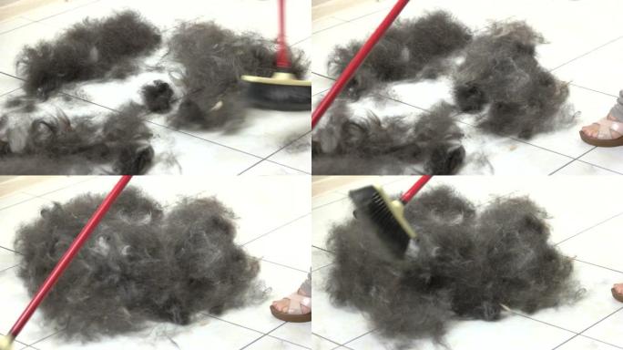 推扫帚清扫狗毛。