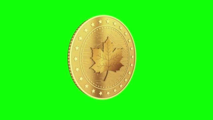 绿屏上的枫叶加拿大金币孤立循环