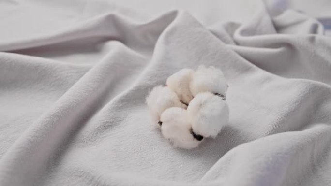 美丽郁郁葱葱的棉花带浅灰色或白色织物的背景，带有褶皱。棉纺织品质地，织物行业。天然棉，有机纤维