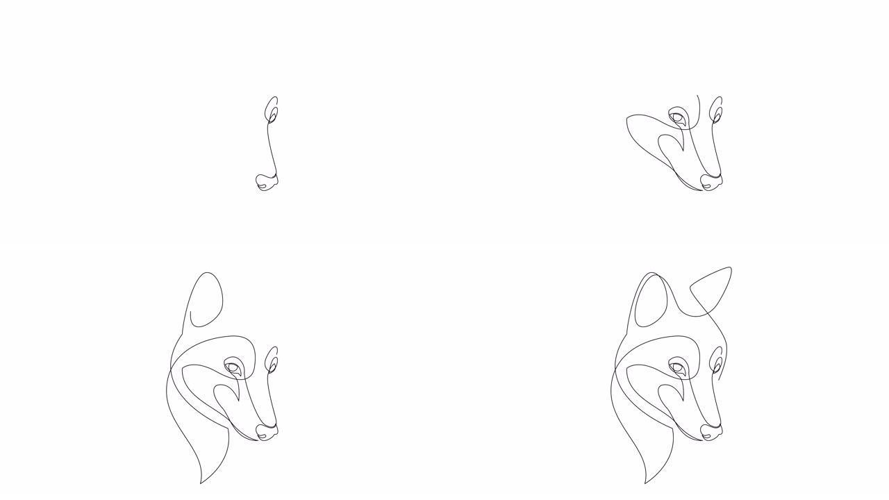 狼的单连续单线自画简单动画。手工绘制，白底黑线。