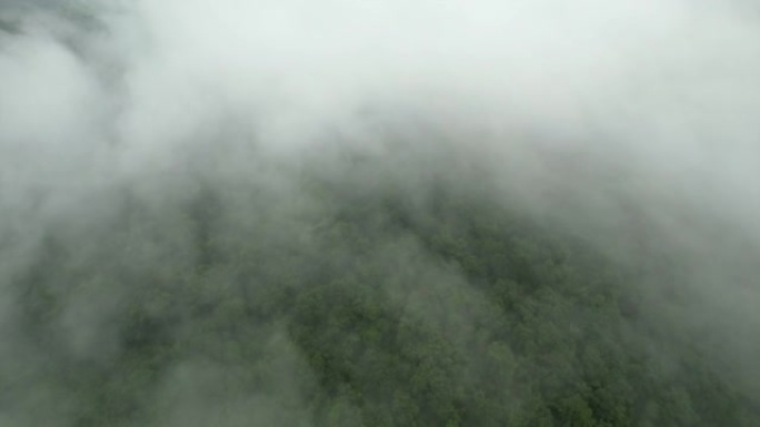 空中无人机电影拍摄的汽车和道路在早上下雨后越过山顶，有雾和绿色森林。