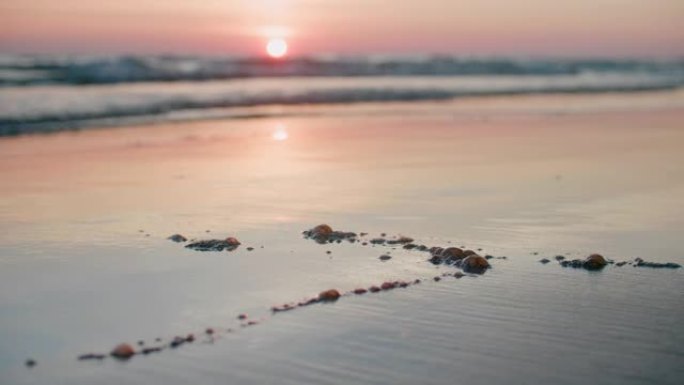 在日落背景的海滩上漏油，这是一个原油污染的海滩