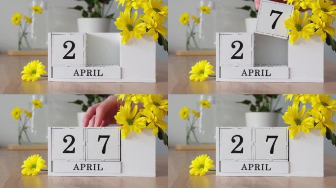 春季月份4月27日。女人的手翻过一个立方历法。黄色花朵旁边的桌子上的白色万年历。在一个月内更改日期。