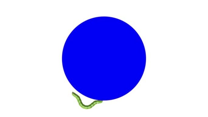 蓝色圆圈上的卡特彼勒，循环3D动画