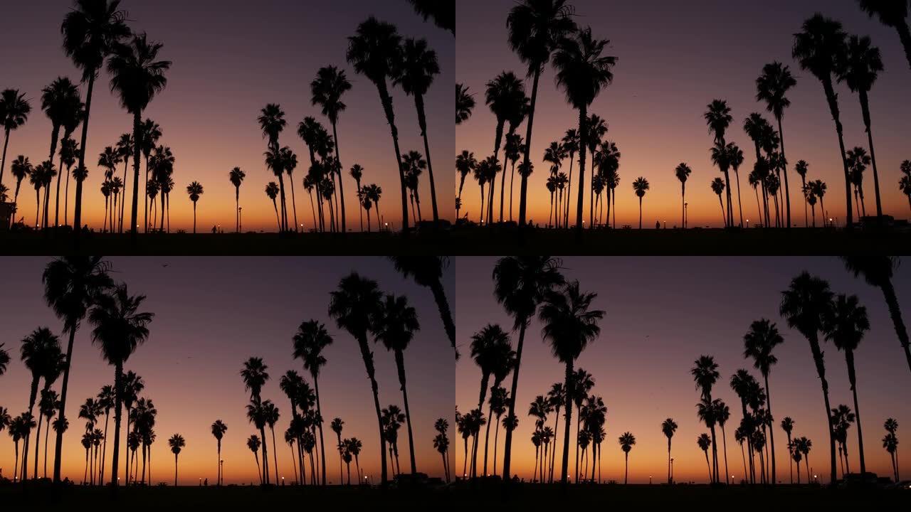 剪影棕榈树和人们在日落时走在海滩上，美国加利福尼亚海岸