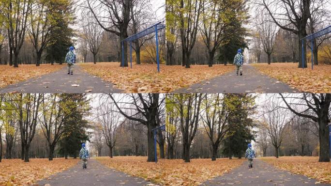 小孩在金秋的秋天在落叶中穿过公园