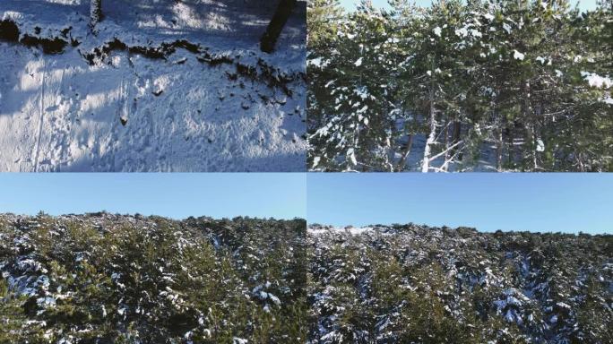 一名男子站在白雪皑皑的道路上，戴着软呢帽，无人机摄像头一直移动到山上的松树上。