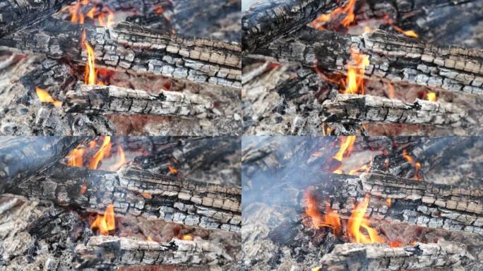 燃烧的树林燃烧烧纸炭火灶火特效
