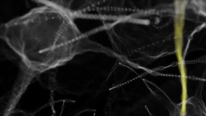 神经元细胞的神经元网络。神经科学和技术概念