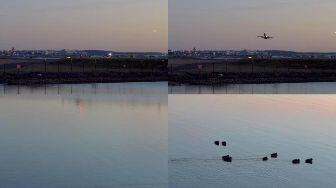 飞机在晚上起飞，锅到鸭子坐在水上