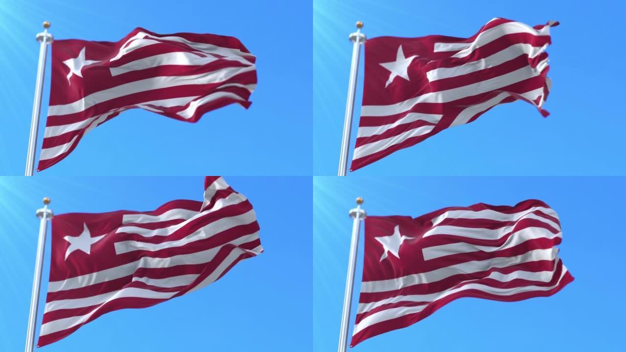 詹姆斯·长旗，美国德克萨斯第二共和国。循环