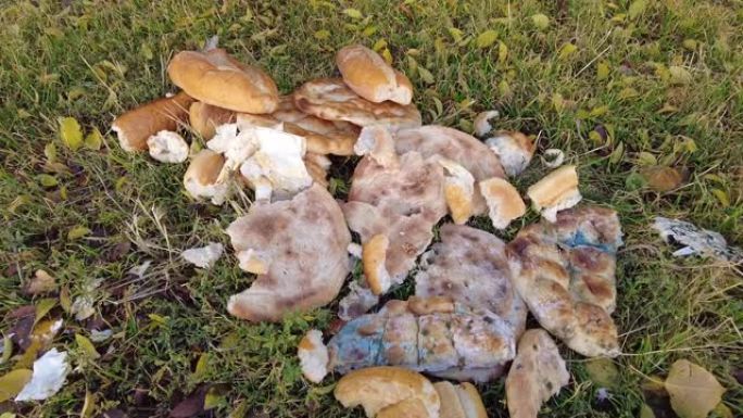 被扔掉和浪费的面包，浪费食物，陈旧的面包被扔在地上，