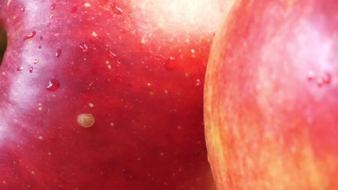 美丽的红苹果特写。苹果皮上的水滴。
