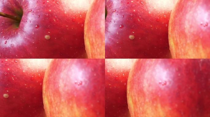 美丽的红苹果特写。苹果皮上的水滴。