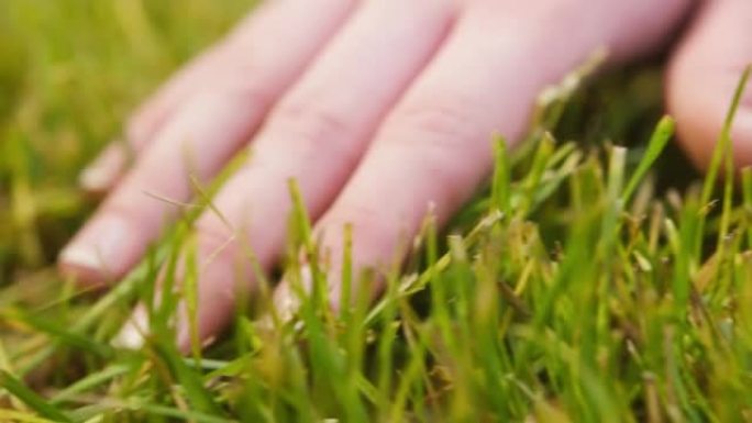 用手触摸新鲜的绿草。人类的手触摸花园中的植物叶子。农民手掌抚摸切割草坪特写