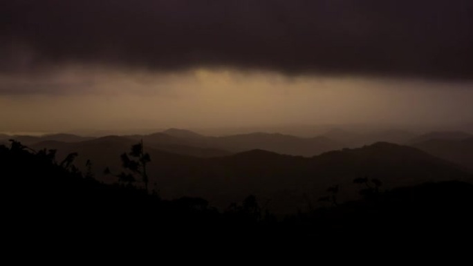 云雾森林，巴拿马奇异动植物生态旅游天然美