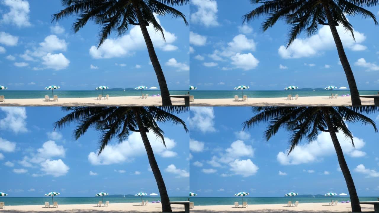 夏季岛上的海滩摇曳椰林面对大海涨退潮