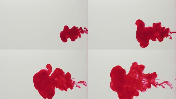 在白色背景上滴红色墨水。红色颜料在水中混合并以慢动作移动。抽象墨水背景。慢动作