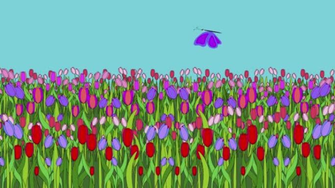紫色蝴蝶用五颜六色的郁金香飞过田野 -- 动画卡通