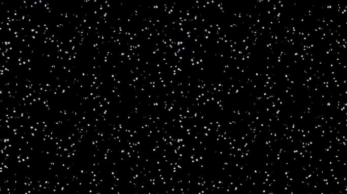 舞动樱桃花瓣的循环动画，黑色背景