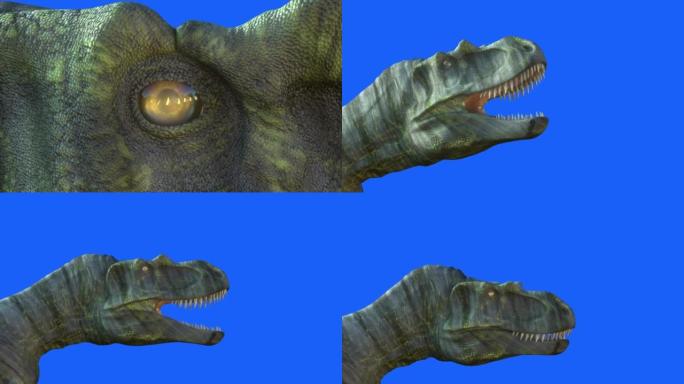 恐龙头部的眼睛特写渲染蓝色背景上的3d
