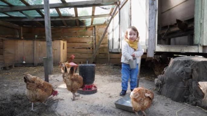 婴儿小女孩儿童有趣的饲料鸡在农场农村给他们倒小米和谷物