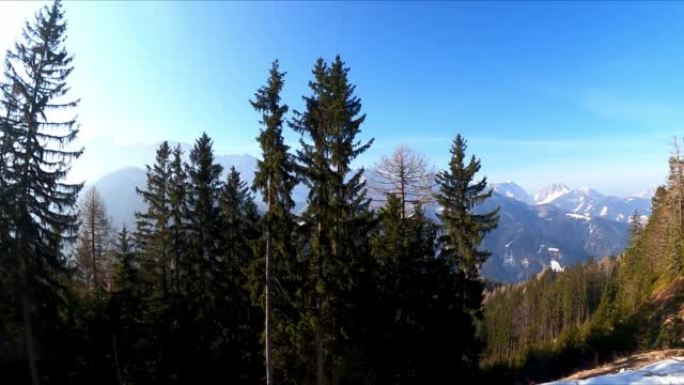 奥地利卡林西亚卡拉万克斯雪山山峰弗赖贝格的风景。山谷的泽尔普法尔山村。穿过森林查看Wertatsch
