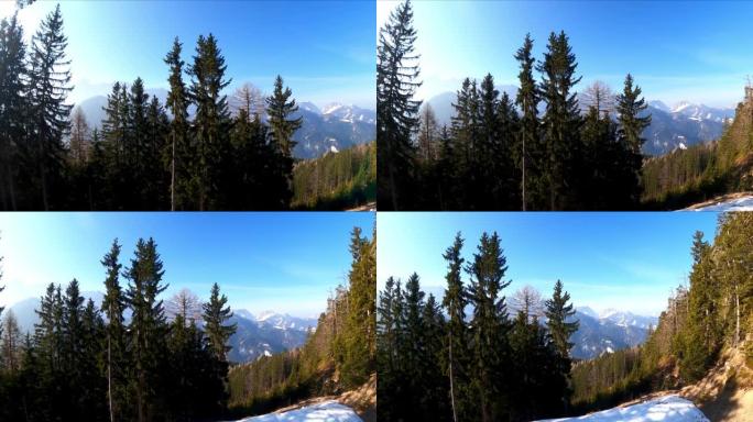 奥地利卡林西亚卡拉万克斯雪山山峰弗赖贝格的风景。山谷的泽尔普法尔山村。穿过森林查看Wertatsch