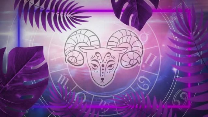 紫色背景上白羊座星座星座和星座轮的动画