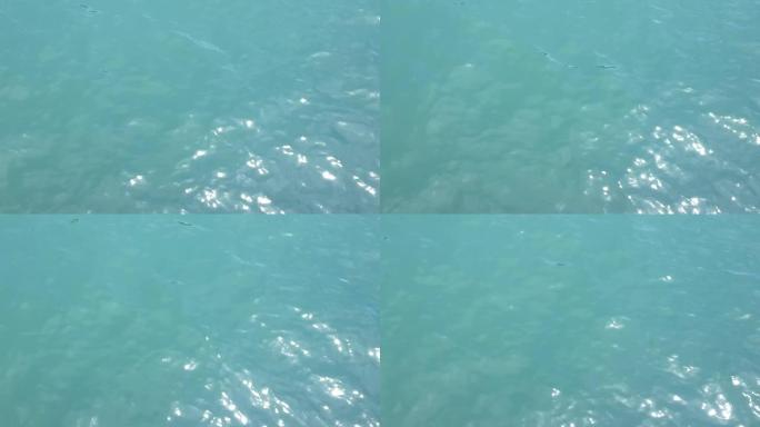 4k视频，在平静的海水表面拍摄蓝波特写。海面的纹理是蓝色的。保护水自然资源的概念