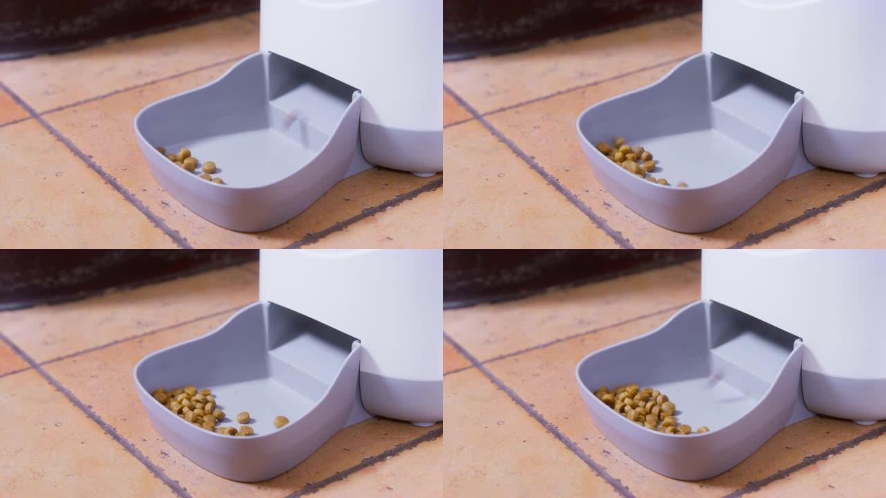 白色自动动物喂食器为站在浅棕色瓷砖地板上的狗分发特殊食物