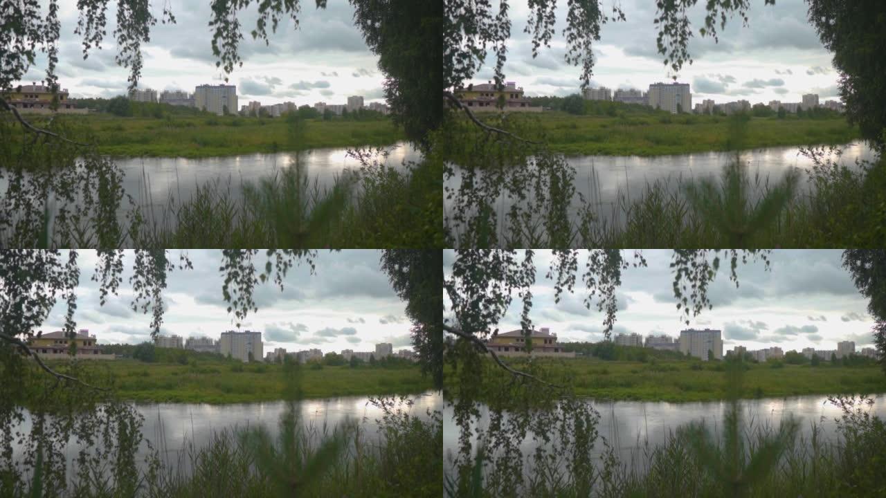 从河边看住宅微区。河和绿草，灌木丛，水面，芦苇，并在房子的对岸。