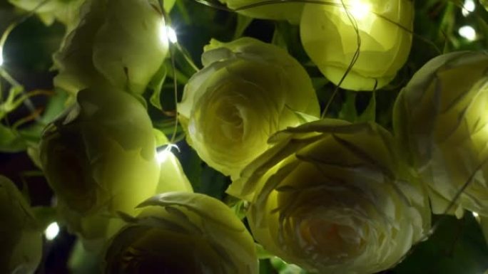 室内用灯光照亮的一束白玫瑰的移动镜头