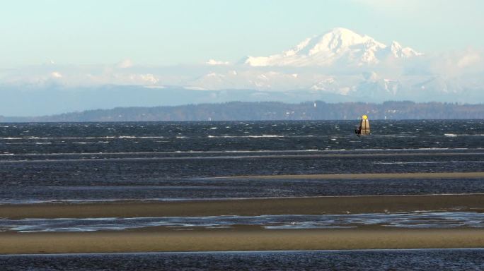 在一个多风的冬天下午，边界湾的风筝冲浪。