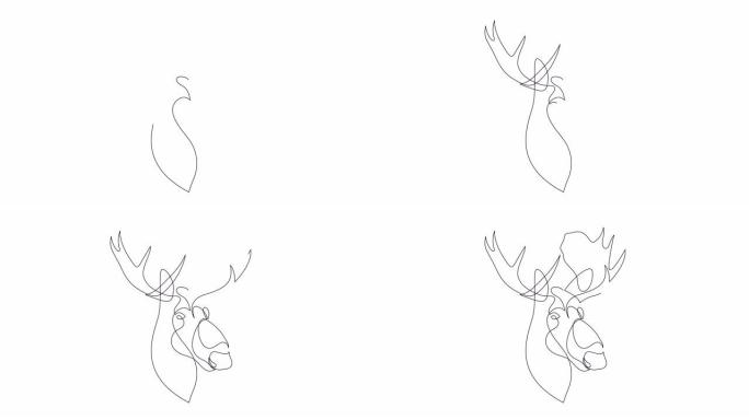 驼鹿单连续单线自绘简单动画。手工绘制，白底黑线。