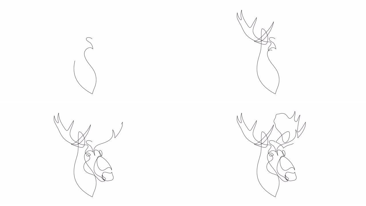 驼鹿单连续单线自绘简单动画。手工绘制，白底黑线。