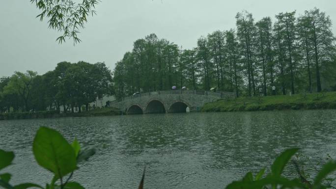 春雨中广州公园的湖边的拱桥上撑伞的游人。